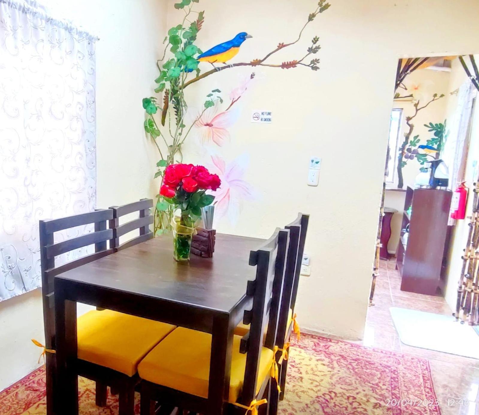 Itchimbia Garden Con La Mejor Vista De Quito Y Spa 外观 照片